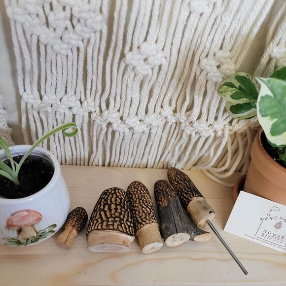 Mixed set of Carved Morel Merchrooms Variety Pack Plant Stake Decor Mushroom - Picture 4 of 11